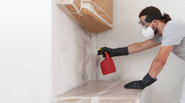 Professional Crawl Space Mold Removal technician working in Sewaren, NJ