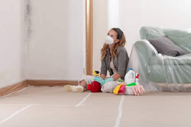 Reliable Crawl Space Mold Removal contractor in Sewaren, NJ by WQB Mold Removal